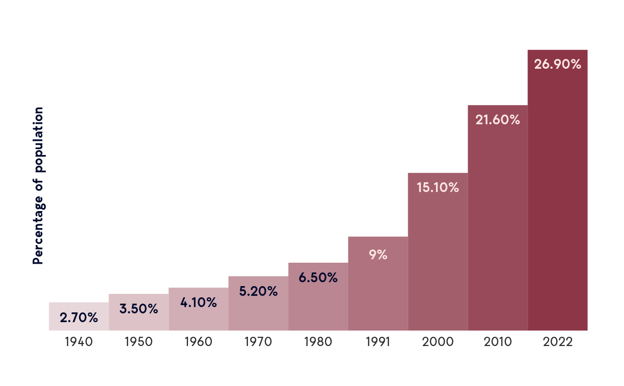 Brazil population percentage