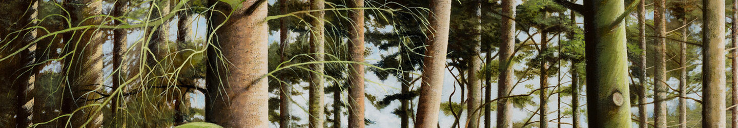 LouisSMcNally Woods footer