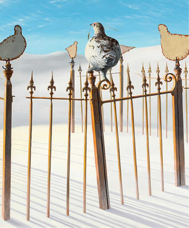 Reserve © Gordon Mitchell